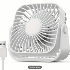 Mini ventilateur (5.000 Fcfa)